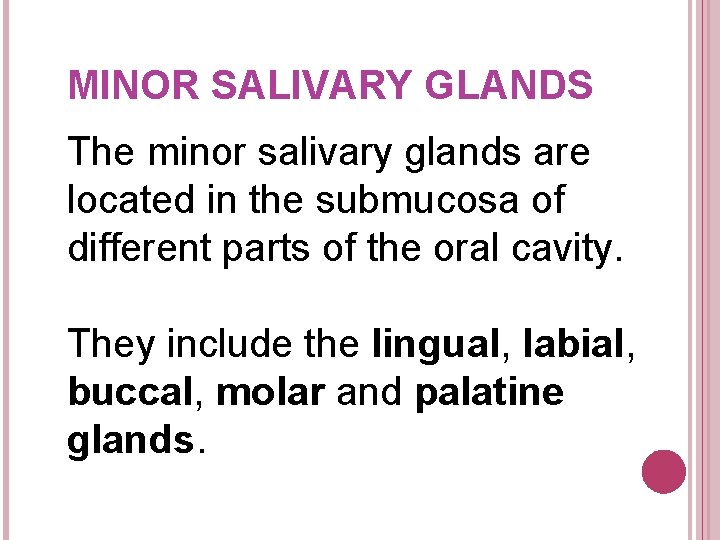 MINOR SALIVARY GLANDS The minor salivary glands are located in the submucosa of different