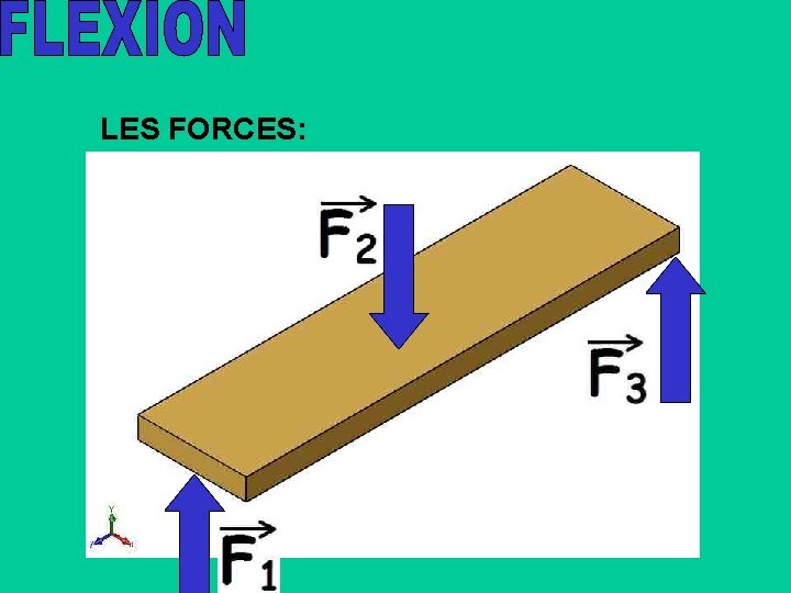 LES FORCES: 