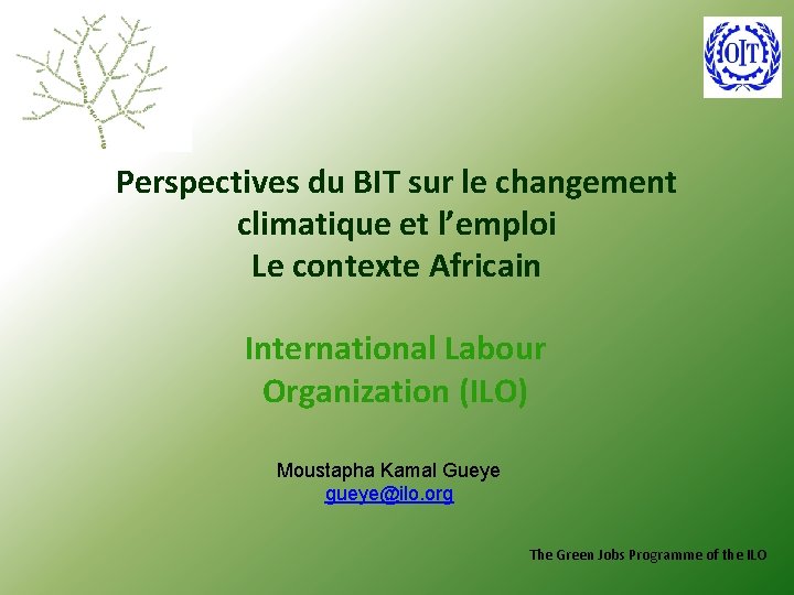 Perspectives du BIT sur le changement climatique et l’emploi Le contexte Africain International Labour