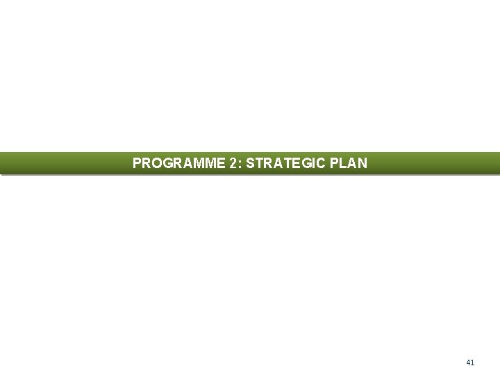 PROGRAMME 2: STRATEGIC PLAN 41 