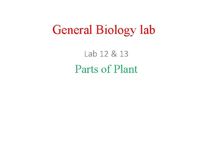 General Biology lab Lab 12 & 13 Parts of Plant 
