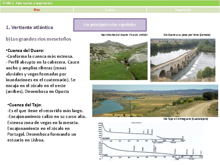 TEMA 3. Ríos suelos y vegetación. Ríos 1. Vertiente atlántica Suelos Vegetación Los principales