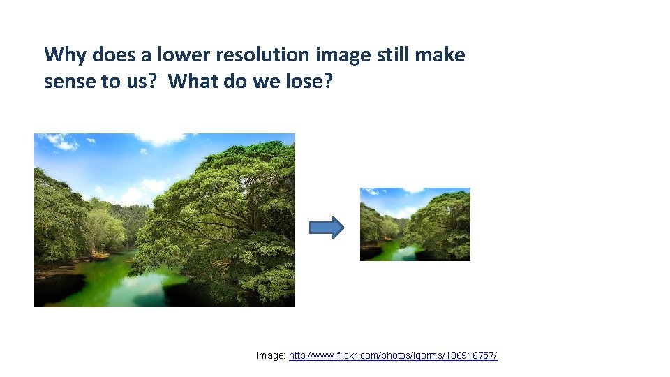 Why does a lower resolution image still make sense to us? What do we