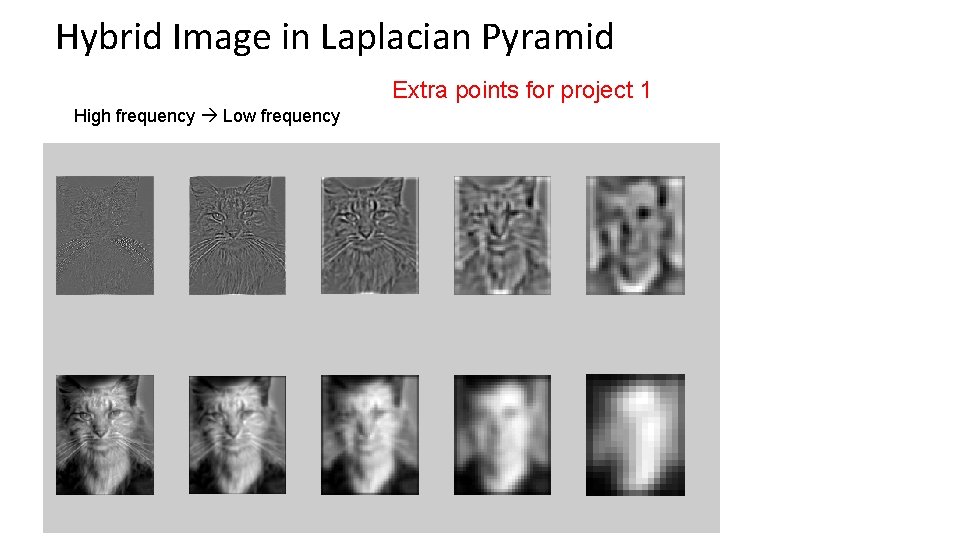 Hybrid Image in Laplacian Pyramid Extra points for project 1 High frequency Low frequency