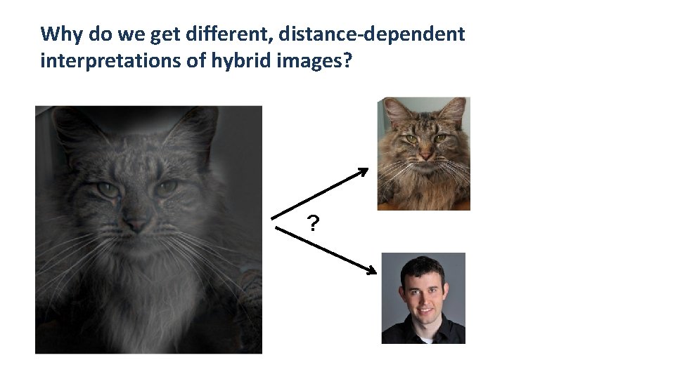 Why do we get different, distance-dependent interpretations of hybrid images? ? 