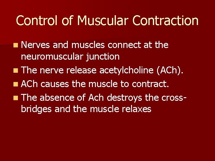 Control of Muscular Contraction n Nerves and muscles connect at the neuromuscular junction n