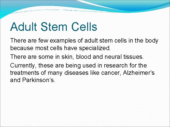 Adult Stem Cells There are few examples of adult stem cells in the body