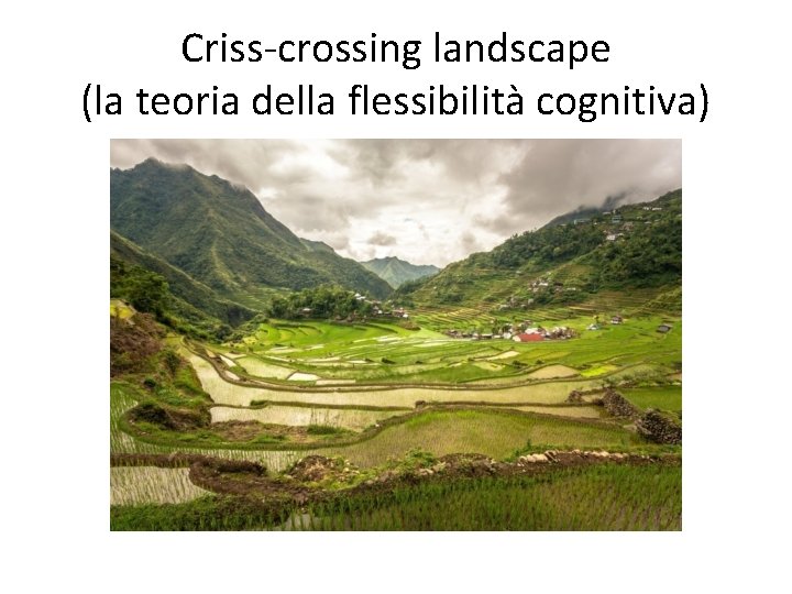 Criss-crossing landscape (la teoria della flessibilità cognitiva) 