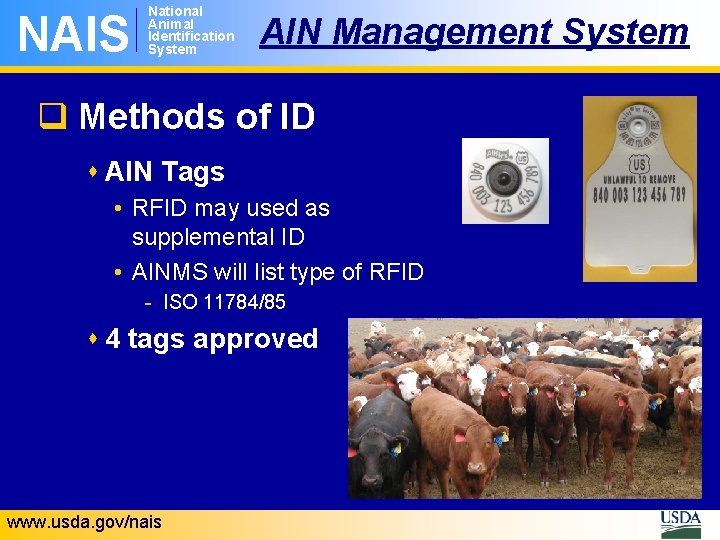 NAIS National Animal Identification System AIN Management System q Methods of ID s AIN