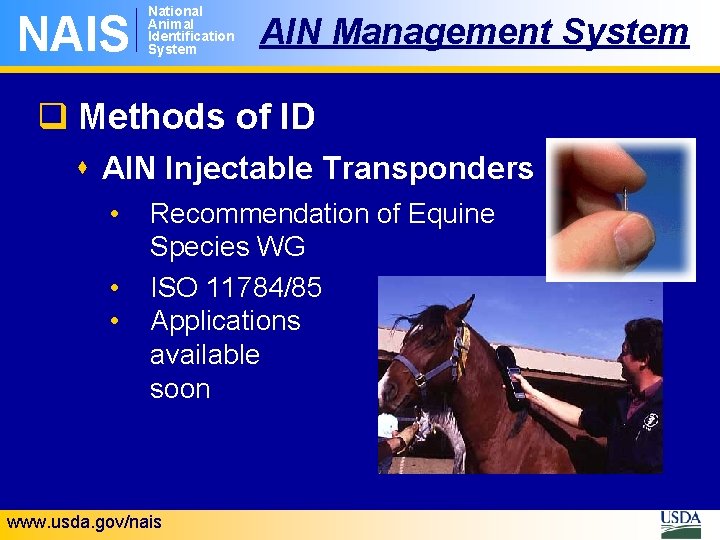 NAIS National Animal Identification System AIN Management System q Methods of ID s AIN