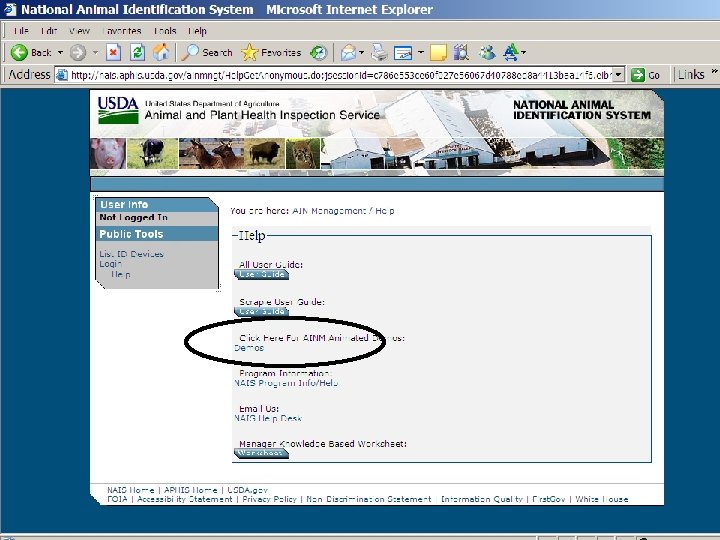 NAIS National Animal Identification System www. usda. gov/nais AIN Management System 19 