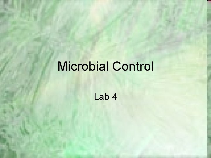 Microbial Control Lab 4 