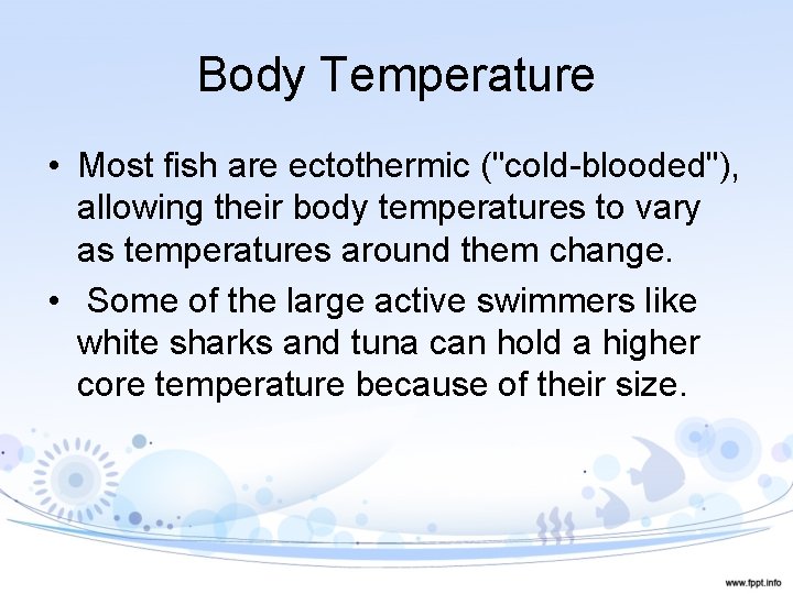 Body Temperature • Most fish are ectothermic ("cold-blooded"), allowing their body temperatures to vary