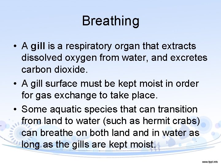 Breathing • A gill is a respiratory organ that extracts dissolved oxygen from water,