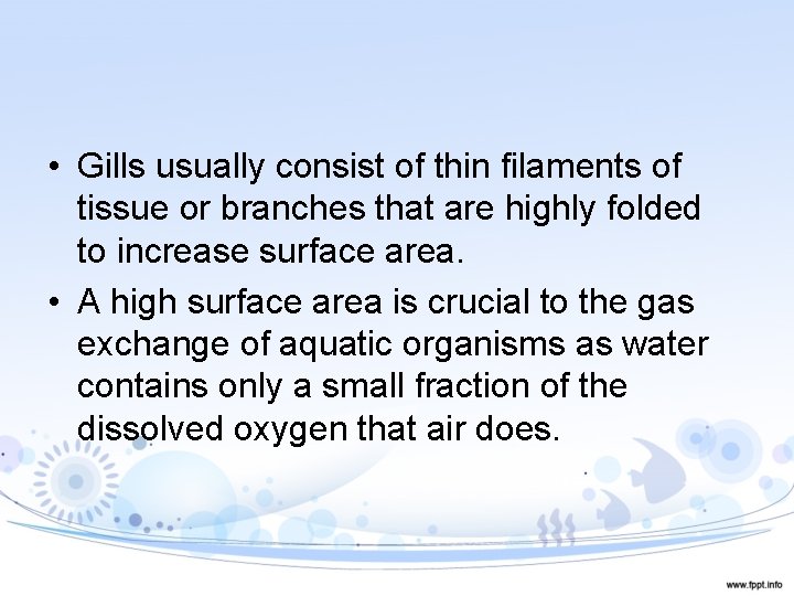  • Gills usually consist of thin filaments of tissue or branches that are