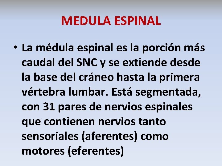 MEDULA ESPINAL • La médula espinal es la porción más caudal del SNC y