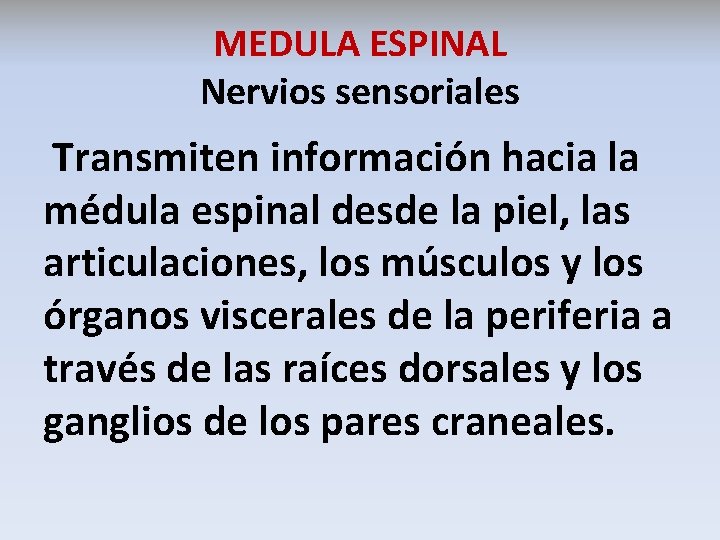 MEDULA ESPINAL Nervios sensoriales Transmiten información hacia la médula espinal desde la piel, las