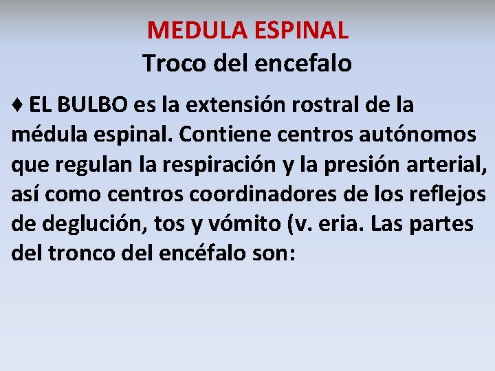 MEDULA ESPINAL Troco del encefalo ♦ EL BULBO es la extensión rostral de la