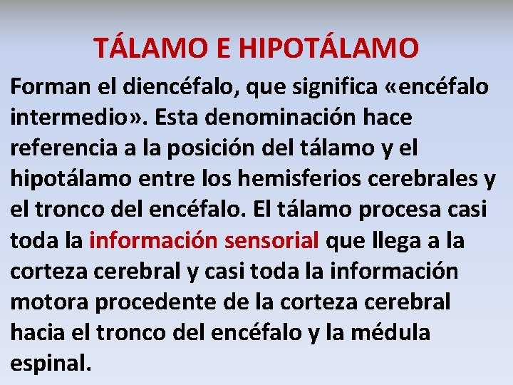 TÁLAMO E HIPOTÁLAMO Forman el diencéfalo, que significa «encéfalo intermedio» . Esta denominación hace