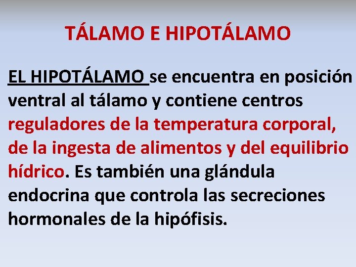 TÁLAMO E HIPOTÁLAMO EL HIPOTÁLAMO se encuentra en posición ventral al tálamo y contiene