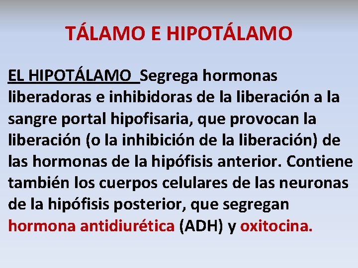 TÁLAMO E HIPOTÁLAMO EL HIPOTÁLAMO Segrega hormonas liberadoras e inhibidoras de la liberación a