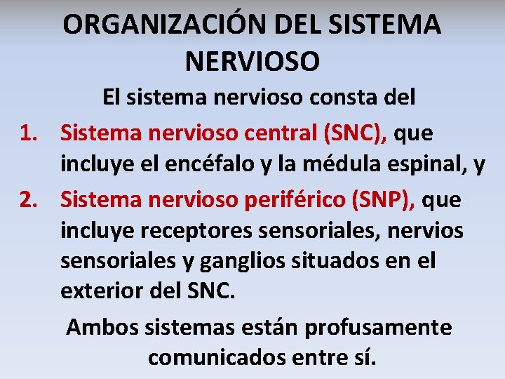 ORGANIZACIÓN DEL SISTEMA NERVIOSO El sistema nervioso consta del 1. Sistema nervioso central (SNC),