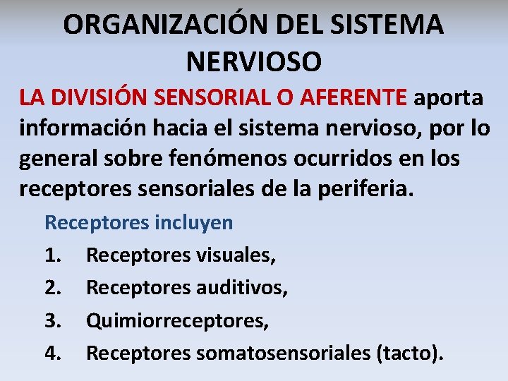 ORGANIZACIÓN DEL SISTEMA NERVIOSO LA DIVISIÓN SENSORIAL O AFERENTE aporta información hacia el sistema