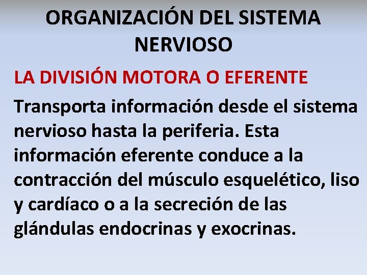 ORGANIZACIÓN DEL SISTEMA NERVIOSO LA DIVISIÓN MOTORA O EFERENTE Transporta información desde el sistema