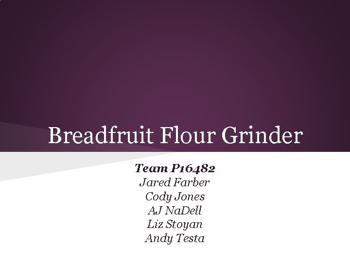 Breadfruit Flour Grinder Team P 16482 Jared Farber Cody Jones AJ Na. Dell Liz