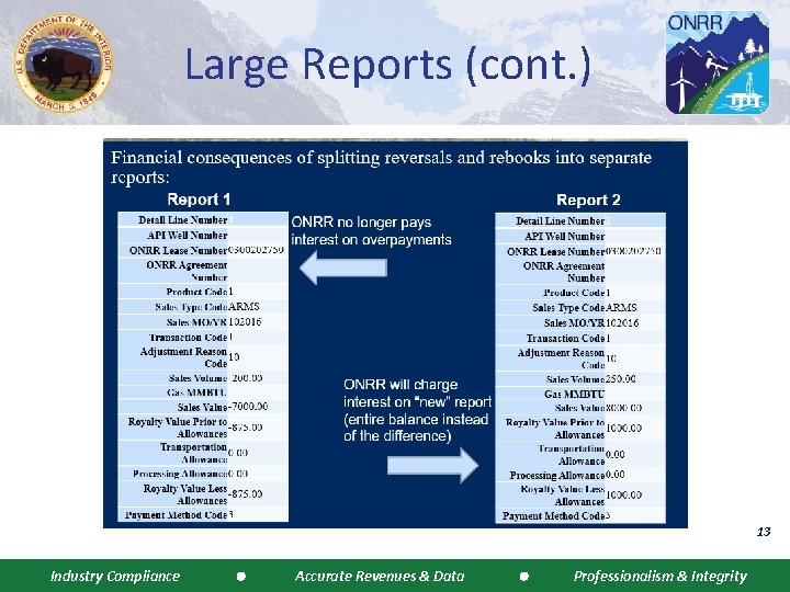 Large Reports (cont. ) 13 Industry Compliance Accurate Revenues & Data Professionalism & Integrity