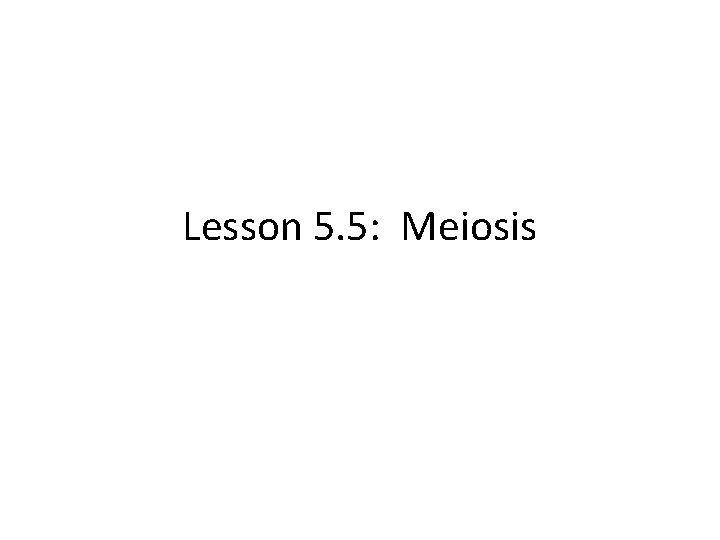 Lesson 5. 5: Meiosis 
