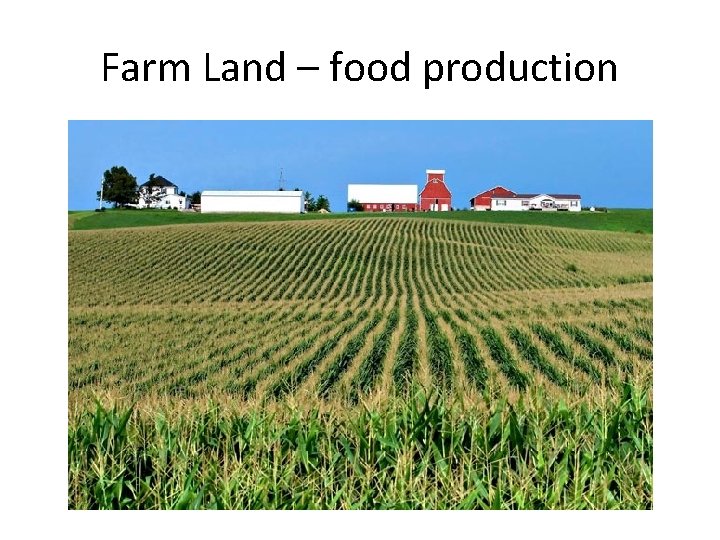 Farm Land – food production 