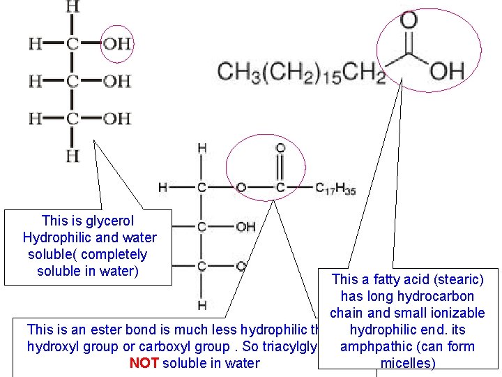 This is glycerol Hydrophilic and water soluble( completely soluble in water) This a fatty