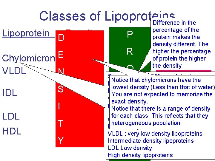 Classes of Lipoproteins Difference in the Lipoprotein D Density Protein P Chylomicrons. E <0.