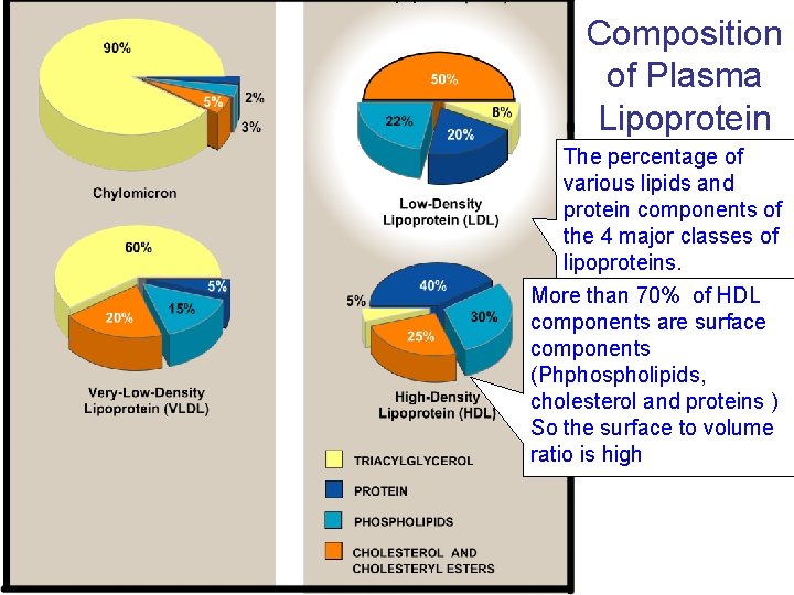 Composition of Plasma Lipoprotein The percentage of various lipids and protein components of the