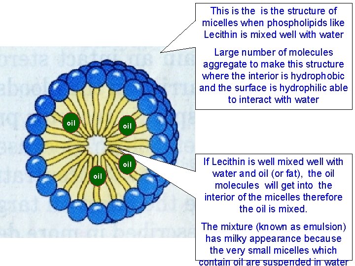 This is the structure of micelles when phospholipids like Lecithin is mixed well with