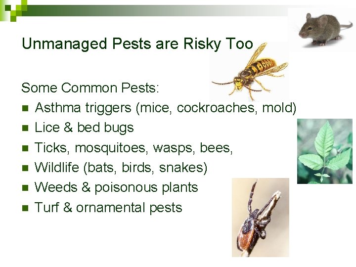 Unmanaged Pests are Risky Too Some Common Pests: n Asthma triggers (mice, cockroaches, mold)