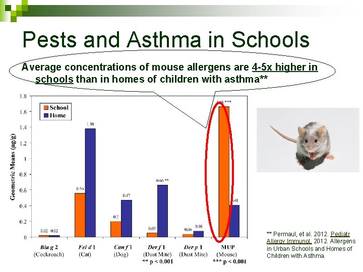 Pests and Asthma in Schools Average concentrations of mouse allergens are 4 -5 x