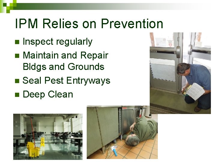 IPM Relies on Prevention Inspect regularly n Maintain and Repair Bldgs and Grounds n