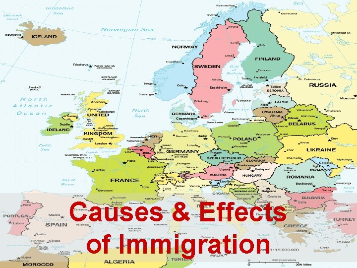 Causes & Effects of Immigration 