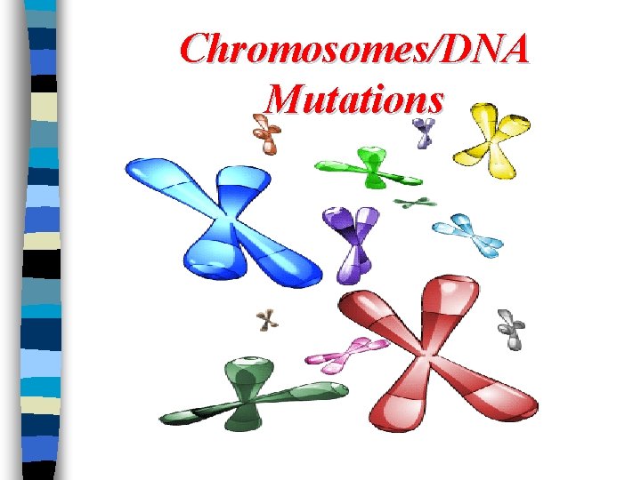 Chromosomes/DNA Mutations 