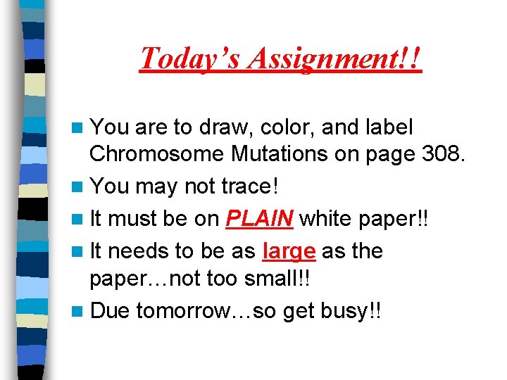 Today’s Assignment!! n You are to draw, color, and label Chromosome Mutations on page