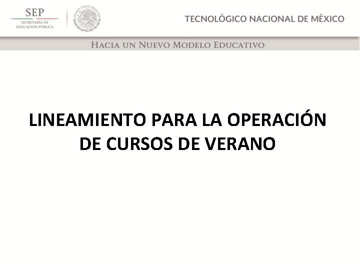 LINEAMIENTO PARA LA OPERACIÓN DE CURSOS DE VERANO 