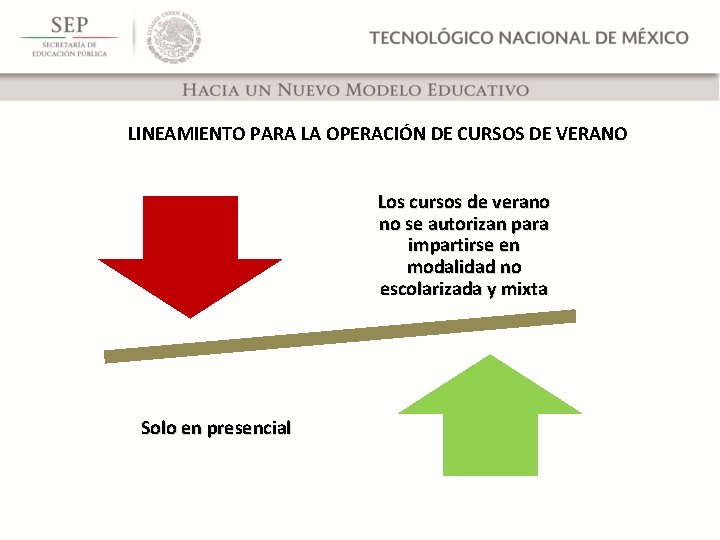 LINEAMIENTO PARA LA OPERACIÓN DE CURSOS DE VERANO Los cursos de verano no se