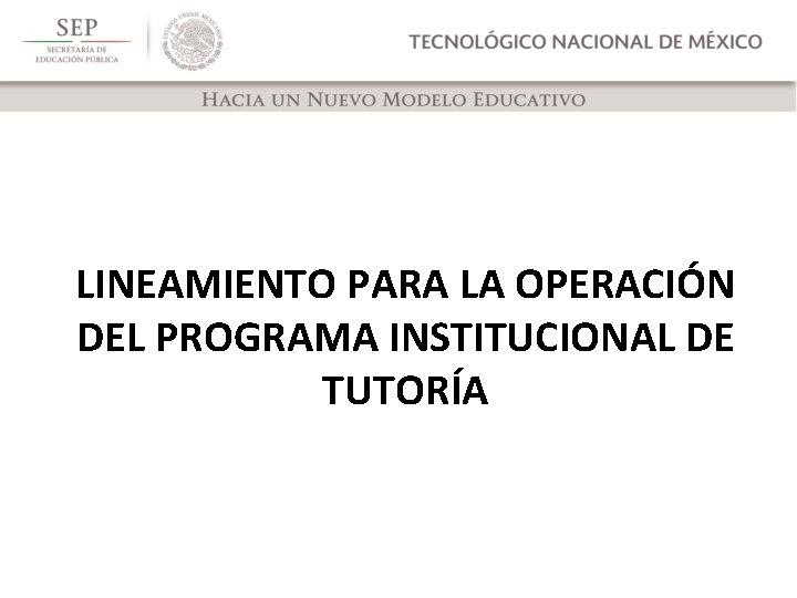 LINEAMIENTO PARA LA OPERACIÓN DEL PROGRAMA INSTITUCIONAL DE TUTORÍA 