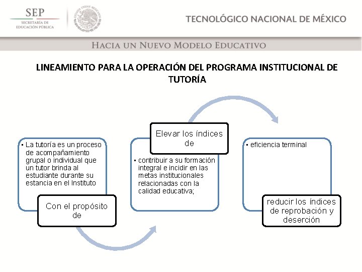 LINEAMIENTO PARA LA OPERACIÓN DEL PROGRAMA INSTITUCIONAL DE TUTORÍA • La tutoría es un