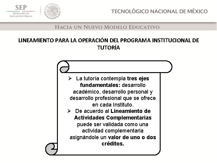 LINEAMIENTO PARA LA OPERACIÓN DEL PROGRAMA INSTITUCIONAL DE TUTORÍA Ø La tutoría contempla tres