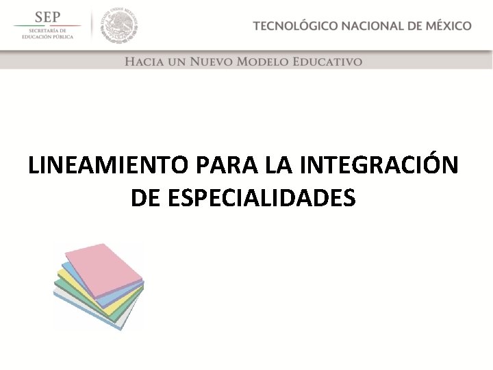 LINEAMIENTO PARA LA INTEGRACIÓN DE ESPECIALIDADES 