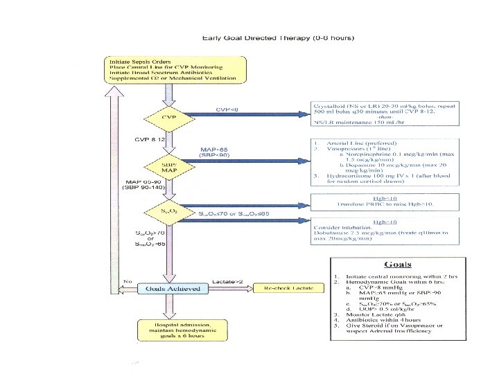Evidence-Based Sepsis Guidelines Evidence-Based Sepsis Guidelines