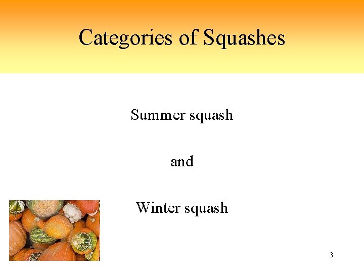 Categories of Squashes Summer squash and Winter squash 3 